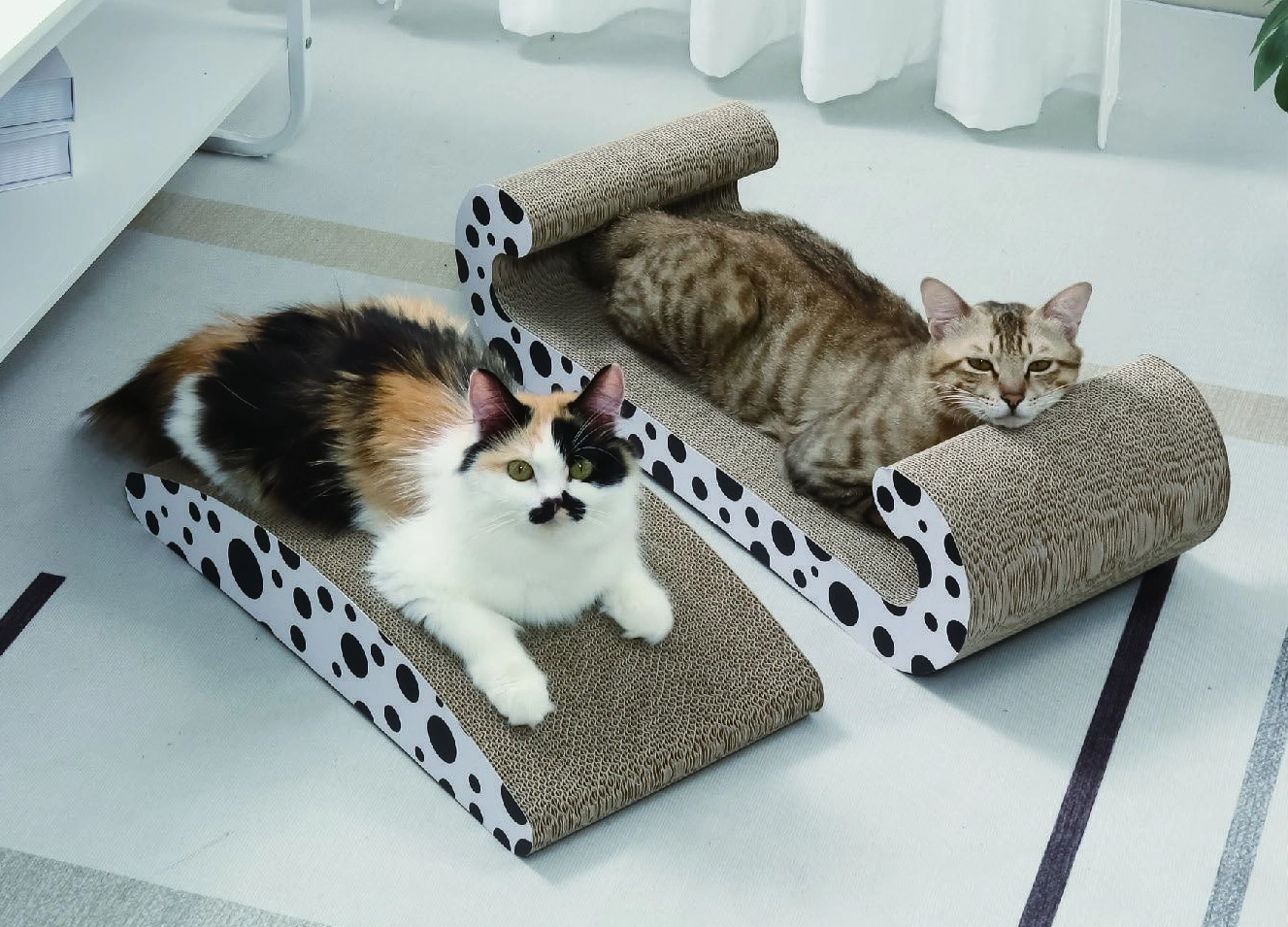 Cardboard Cat Scratchers for Large Cats: A Size and Structure Checklist