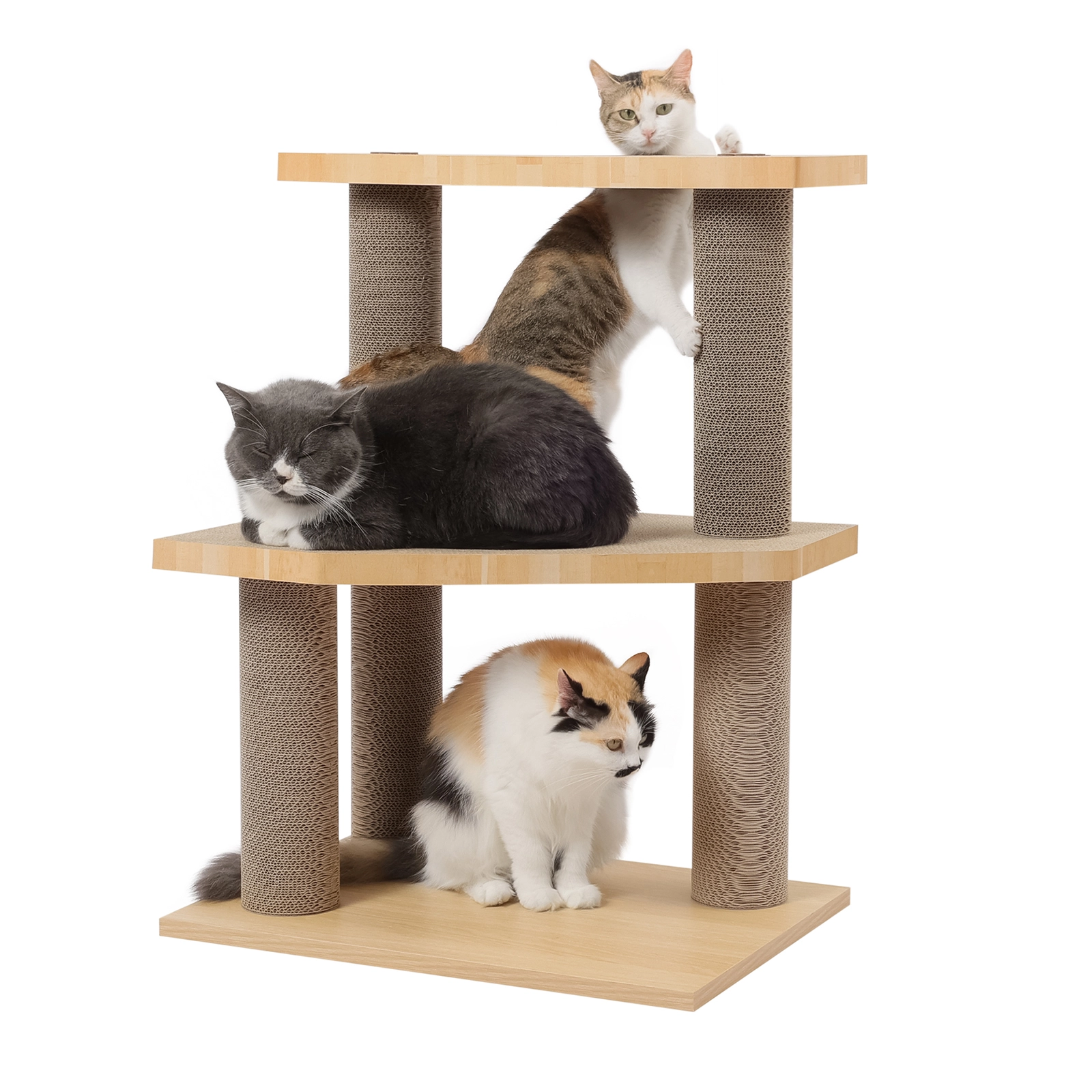 Cardboard Cat Scratcher for Big Cats: A Practical Buying Guide