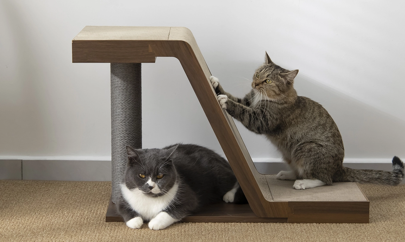 cardboard cat scratcher for large cats
