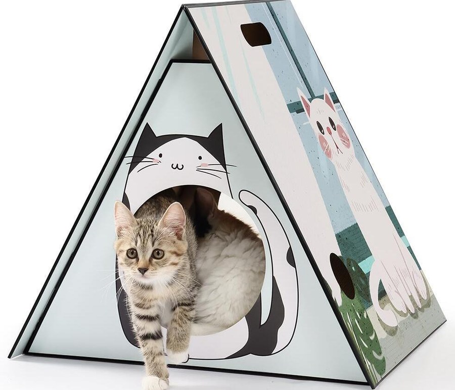 Cat scratcher house and bed