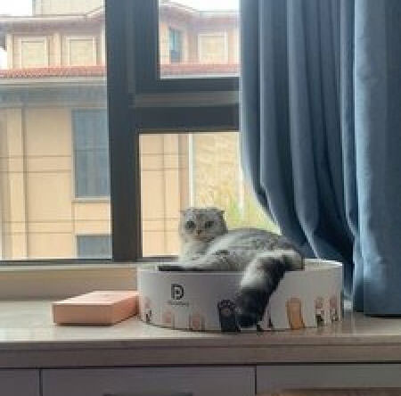 Round Corrugated Cat Scratching Furniture