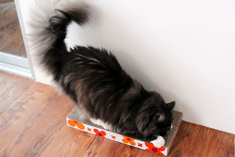 FobPet Corrugated Cardboard Cat Scratching Board BIg Cat