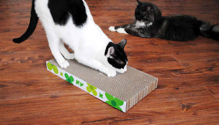 FobPet Corrugated Cardboard Cat Scratching Board for Kitty