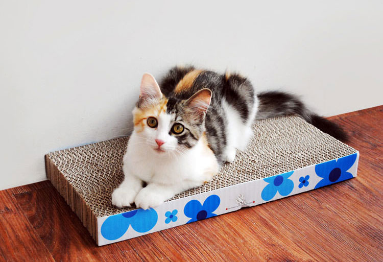 FobPet Corrugated Cardboard Cat Scratching Board for Rest