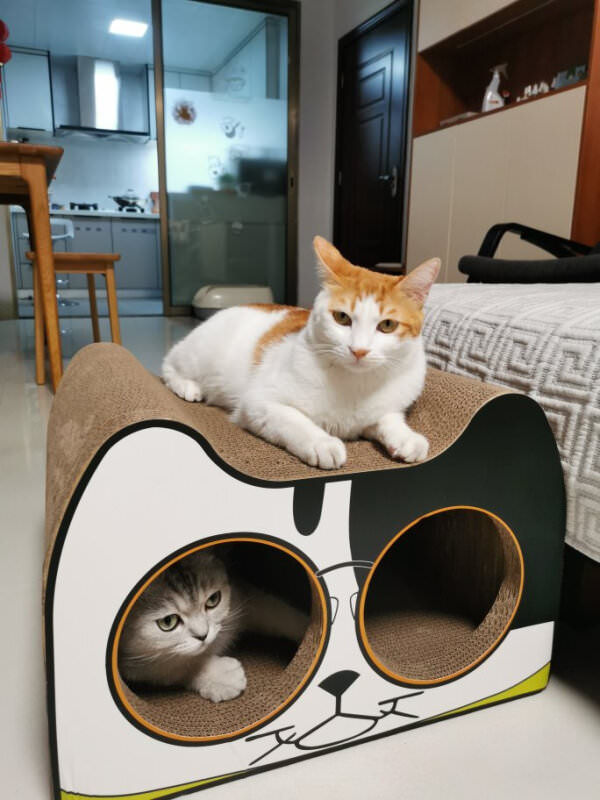 Cardboard Scratcher Indoor Furniture House