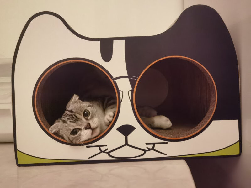 Cat Scratcher House Pet Housen Show Case